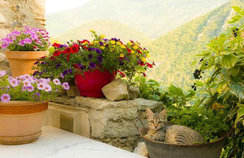 Chateau des Gipières bij de Mont Ventoux - Foto 56