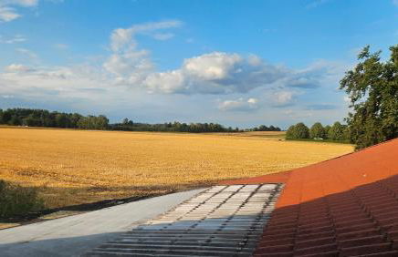 Ferienwohnung Beti - Foto 24