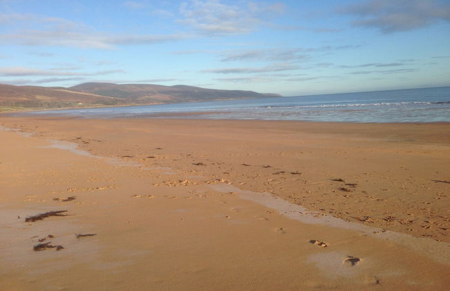 The Paddock - Foto 30