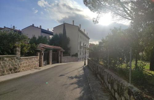 Disfrutando la zona - Photo 35