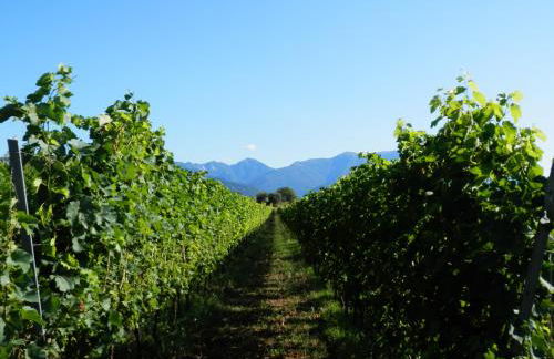 Agriturismo Fioralba - Photo 59