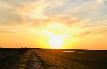 Möwennest II gemütliches Studio-Apartment mit WLAN & Küche - Photo 37