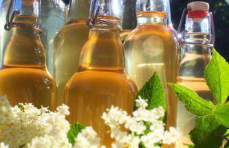 Forsthof Niendorf - Foto 44