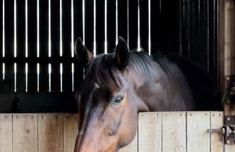 THE OLD Cart House - Foto 46