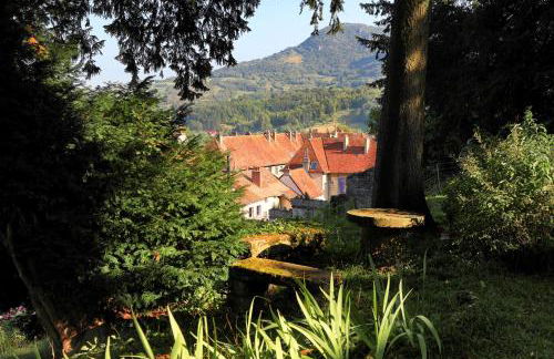 L'Aristoloche - Foto 25