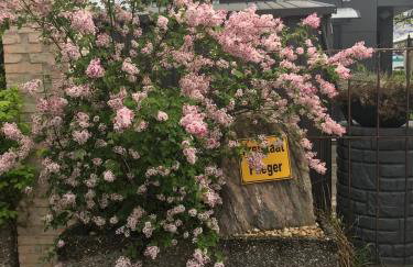 Tiny House Black Pearl - Foto 24