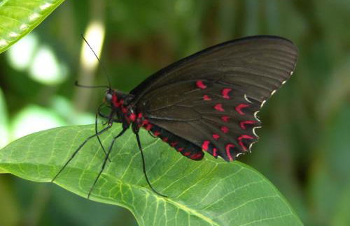 Wellness Retreat - Sauna - Hot Tub - Broomfield - Foto 73