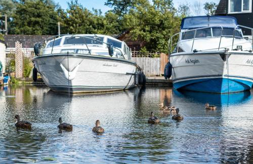 The Reeds - Photo 35