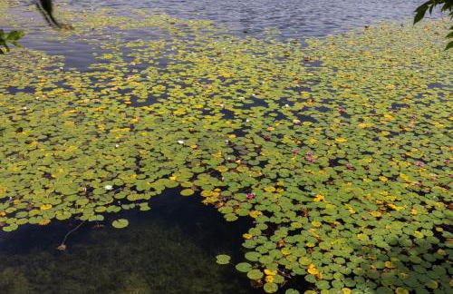 Villa Evelina - Foto 47