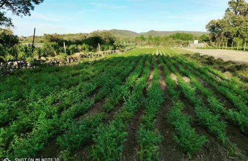 Tu Casa de Pueblo - Photo 44