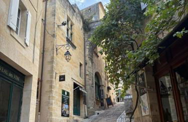 Les logis des Vignobles Sainte Emilion en Duplex n 3 avec terrasse - Foto 16