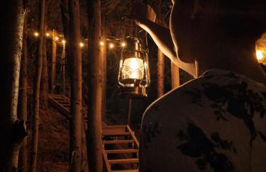 Treehouse Place at Deer Ridge Featured top 10 USA - Photo 23