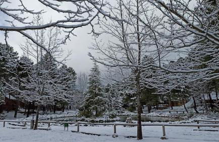 Chalet lujo en finca Zafiro lagunazo Riopar 5 o 3 dormitorios y 3 Baños Parque Natural del Rio Mundo - Foto 31