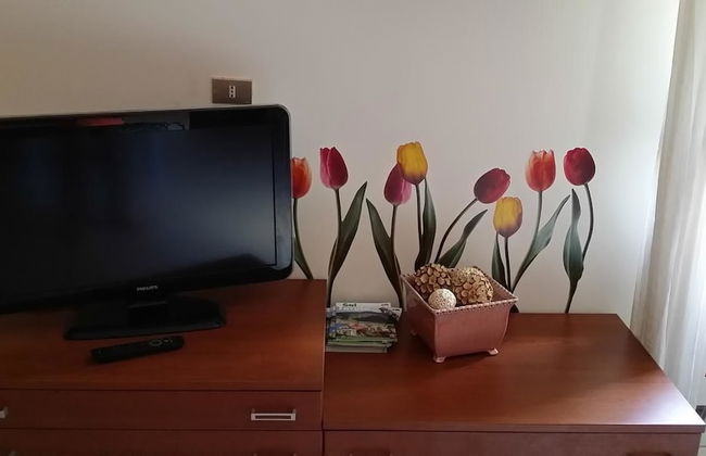 Il Tulipano - Foto 21