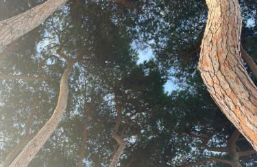 BOUGANVILLE casa vacanza ambiente climatizzato con wi fi - Foto 6