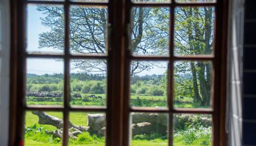 Glasfryn Fawr - Foto 4