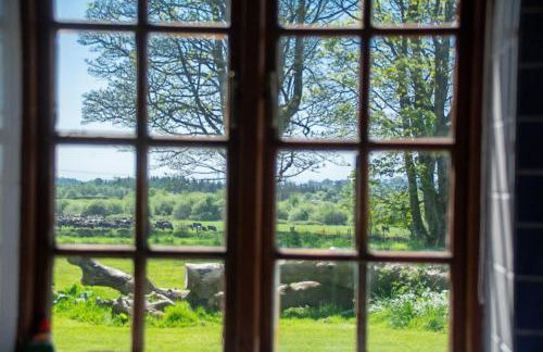 Glasfryn Fawr - Foto 4