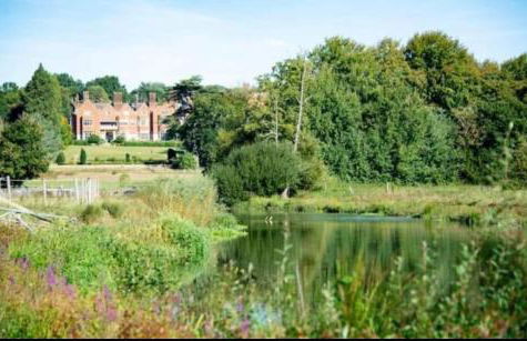 Hertford farm Woodland cabin pet friendly firepit bbq - Foto 66