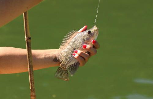 Chales em Salesopolis - Recanto da Barra - Foto 49