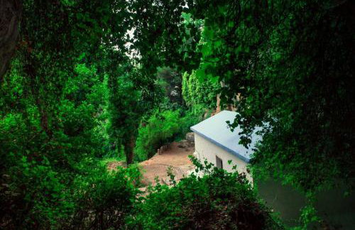 Giannakos Apartments - Foto 39