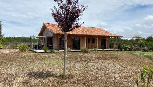 Cabane Alizée, Vensac Océan, Montalivet - Foto 3