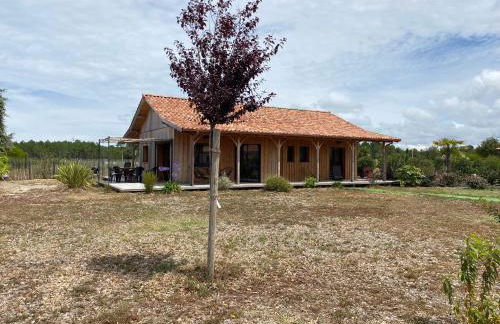 Cabane Alizée, Vensac Océan, Montalivet - Foto 3