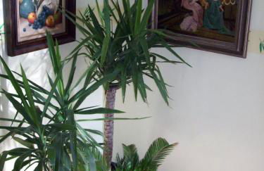 Domaine La Fontaine Du Cade - Foto 79