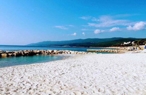 House and Apartments in Labin 8758 - Foto 15