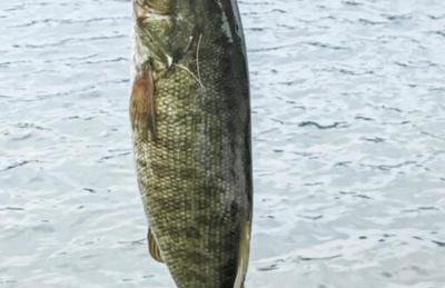 World Cup Stay-Lake Samish Getaway - Foto 19