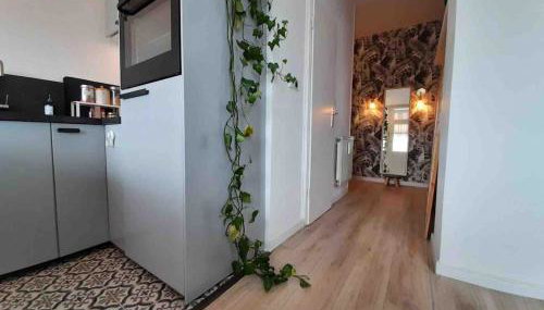 Cozy, green studio with a balcony in Berlin - Foto 2