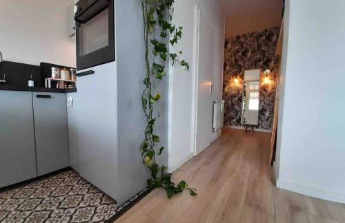 Cozy, green studio with a balcony in Berlin - Foto 2