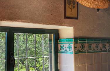 Coto Mina Concepcion - Foto 9