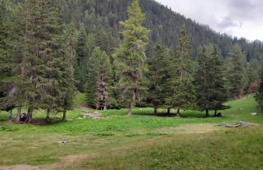 Studio transformé en 2 pièces avec cloison amovible sur La Plagne Bellecôte - Foto 38