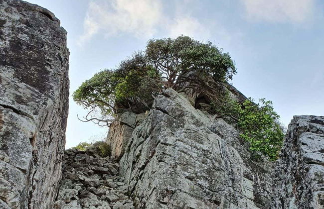 Randonnée à Trilha do Piquinho - Photo 2