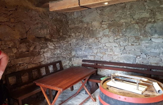 Vacation House Donacka Gora - Foto 21