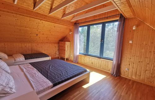 Leśne Wspomnienia - Foto 14