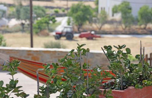 Pine Cottage, Syros Island - Foto 46