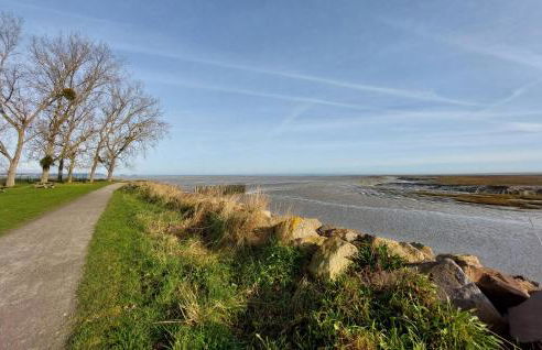 Pet Friendly Apartment - Foto 10