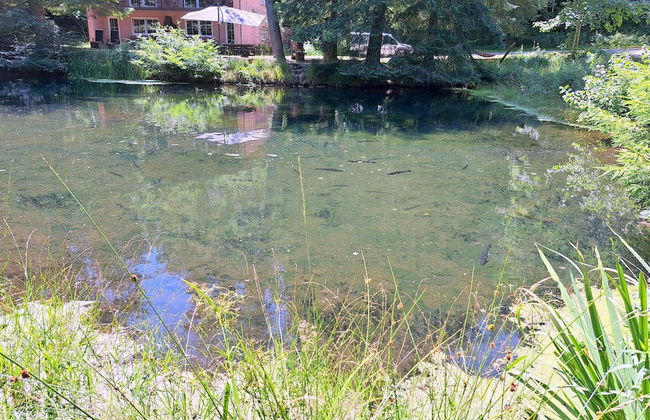 Holiday Accommodation in the Zorn Valley - Foto 20