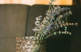 Ruralna kuća za odmor Brezanka, Zagrebačka ulica 21 Gornja Stubica - Foto 78