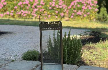 Le Porrine - Foto 19