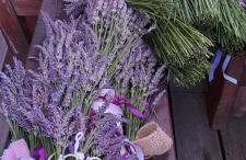 Domki Lawendowy Zakątek - Foto 51