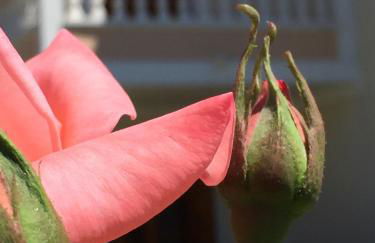 Anemos Apartments - Foto 25