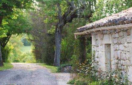 Mas Labrugade - Foto 62