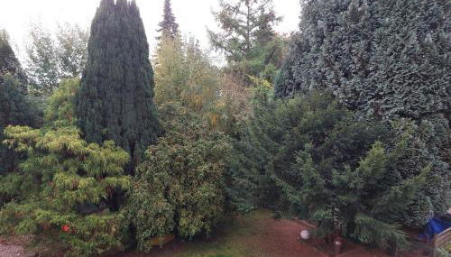 Stadt-Land-Bochum Stiepel - Foto 5