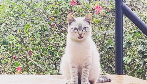 Casita Pedro González - Foto 4