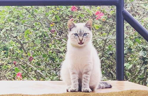 Casita Pedro González - Foto 4