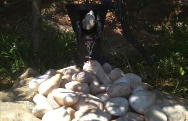 Balkonikarystos (To Mpalkoni tis Karistou) - Foto 9