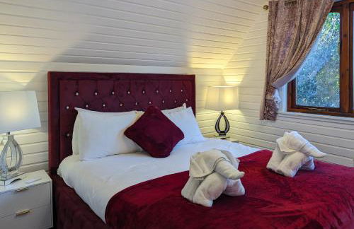 Ceridwen 6 - Hot Tub-Luxury-Pets-Perthshire-Romantic-Dundee - Photo 6