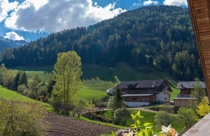 Oberhabererhof - Photo 11